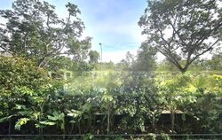 Treasure at Tampines (D18), Condominium #501619671